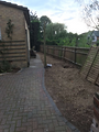 Tree Removal